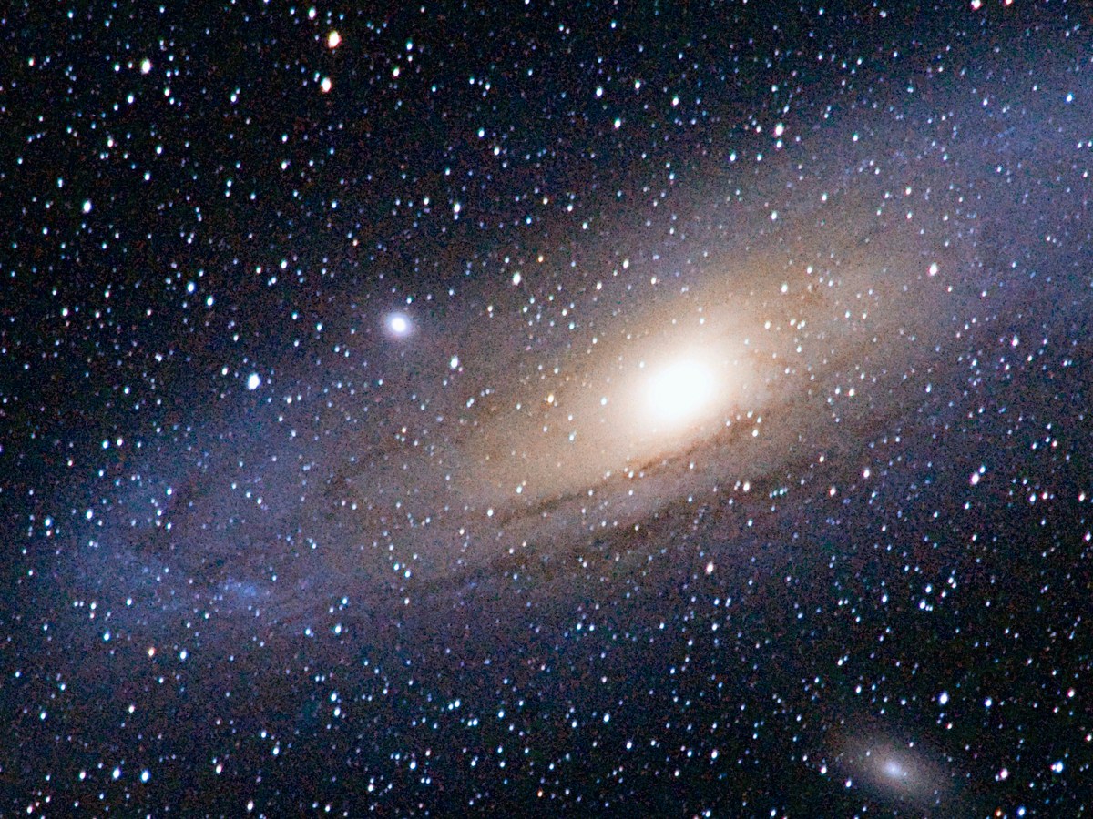 The Future of the&nbsp;Universe